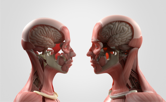 autismo uomo e donna: le differenze