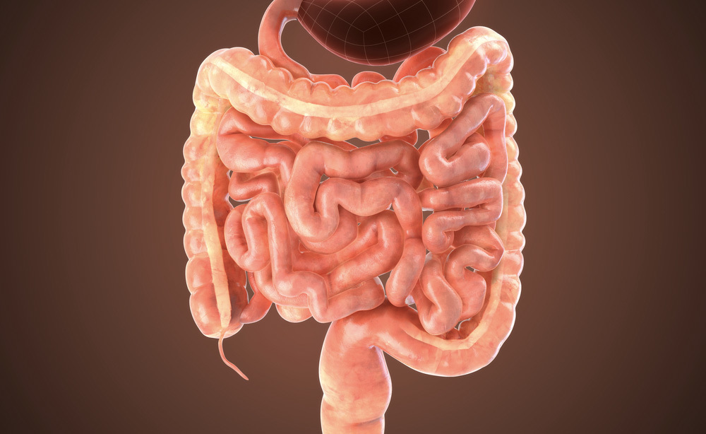 Intestino e Blocco Intestinale: ecco come Star Meglio