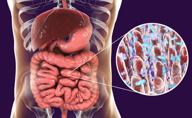dieta dei tre giorni per riequilibrare la flora batterica intestinale
