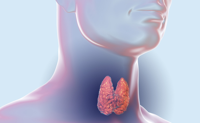 Quali sono i cibi ricchi di selenio?