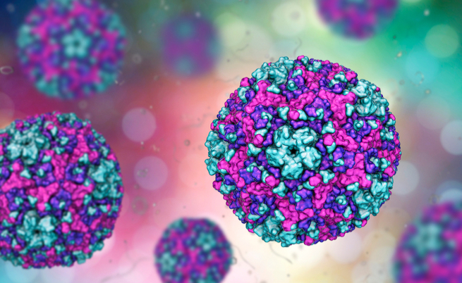 Coxsackie virus Coxsackie virus: sintomi e cure