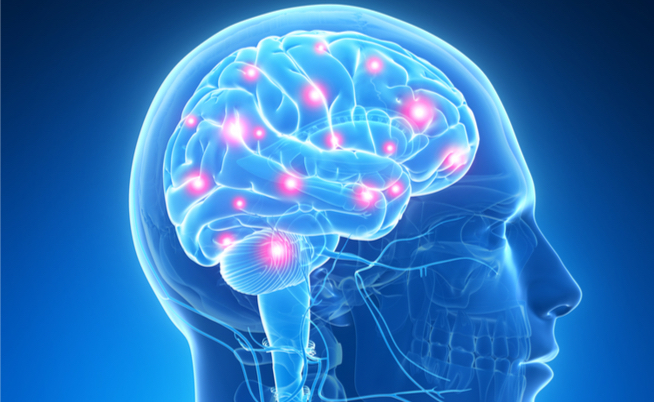 curiosità sul cervello: le cose che non sappiamo su questo misterioso organo