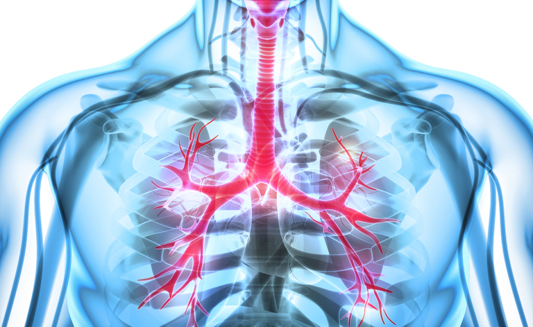 Apnee notturne: cosa dice la Legge