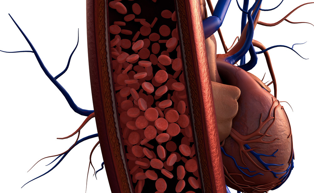 Pressione Alta nei Bambini: ecco Cosa Fare