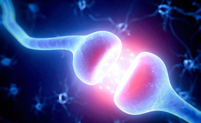 neuroblastoma: il tumore dei bambini