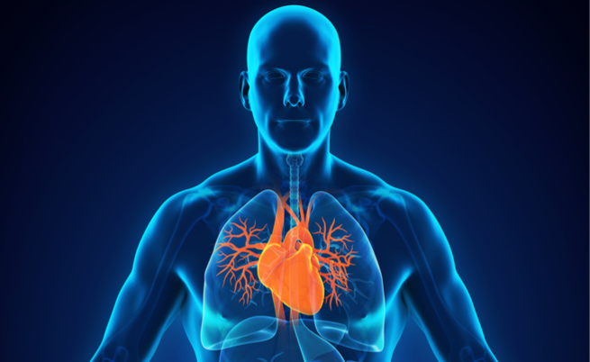 benefici del mango: protegge il cuore e l'intestino