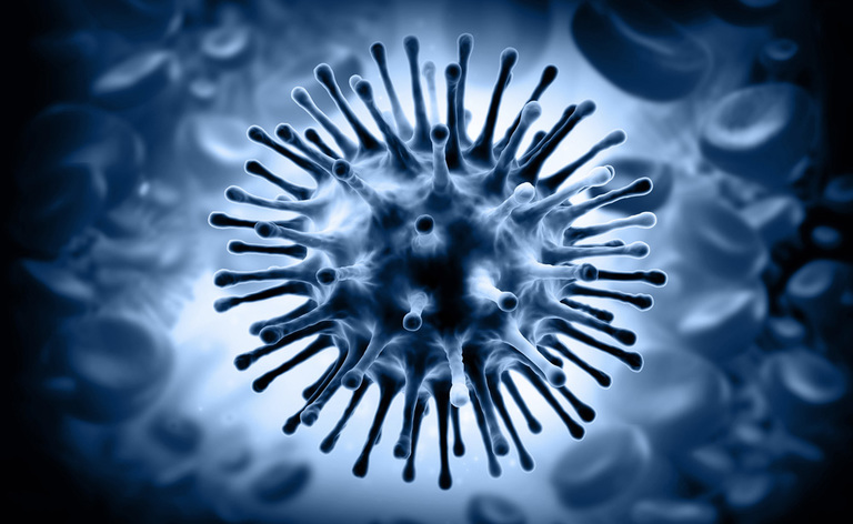 Influenza 2018-2019: come Prevenirle il Contagio