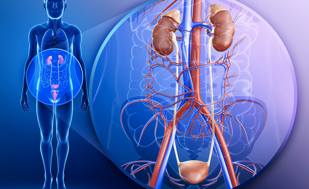 Incontinenza: i Diritti del Paziente