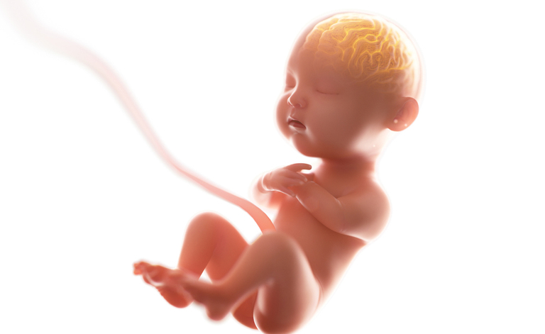 Parto pretermine: la storia