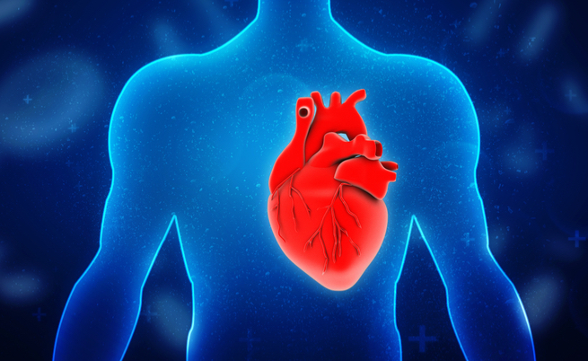 alimentazione e bradicardia: cosa mangiare