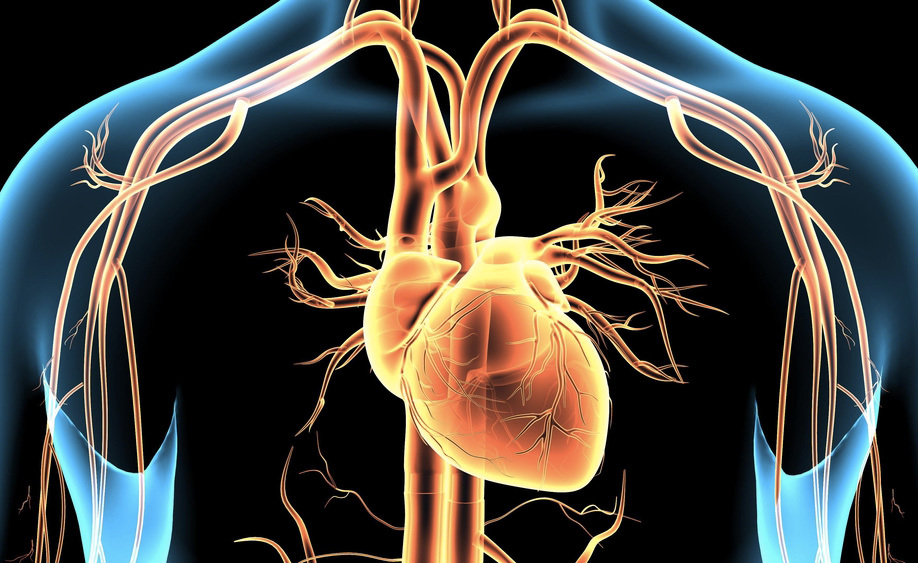 angina-pectoris: le cause