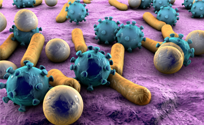 batteri sulla mani: le parti del corpo che non dovremmo mai toccare