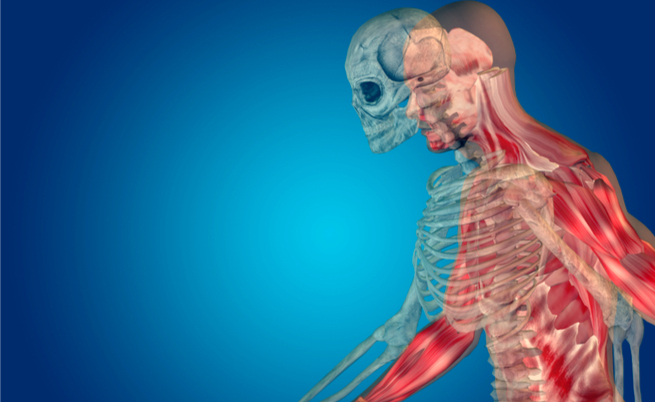 Dieci alimenti ricchi di calcio: quali sono?