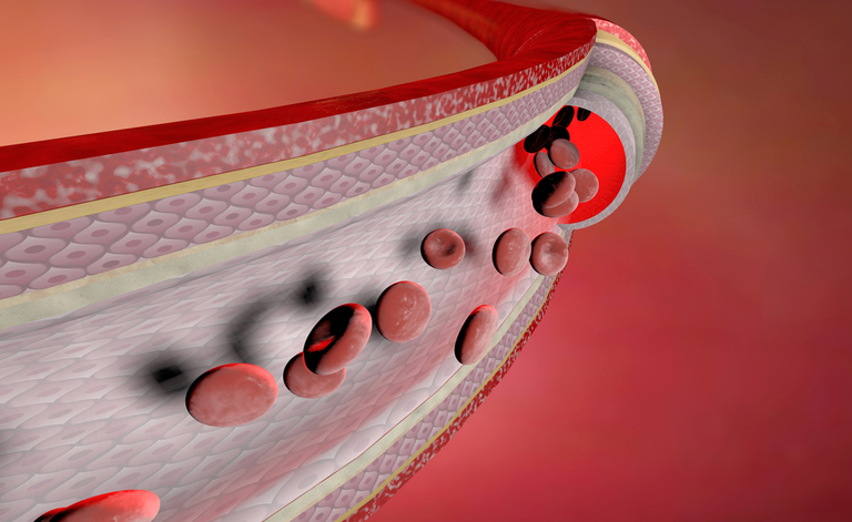 Potassio e Magnesio nella Rucola