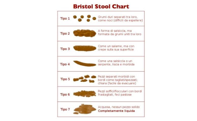 Bristol Scala delle Feci