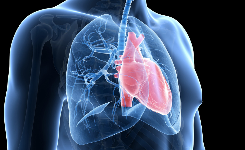 Apnee e Cuore: qual è il Legame?