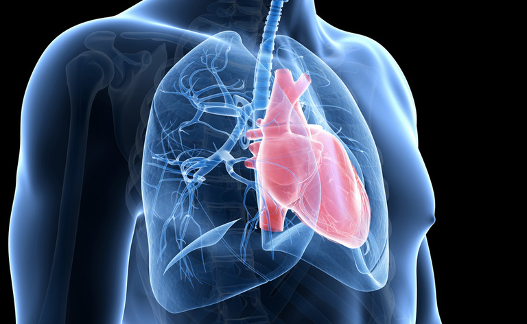 Apnee e Cuore: qual è il Legame?