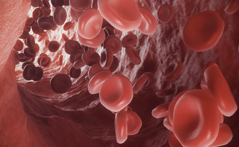 Giornata Mondiale del donatore di Sangue: ecco cosa è bene sapere