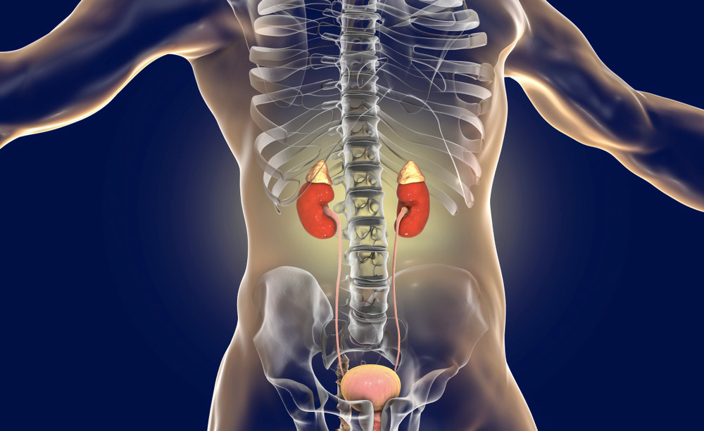 Equilibrio-Acido-Base: scopriamone di più!