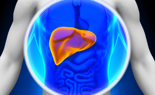 malattie autoimmuni del fegato: sintomi, cause e terapie