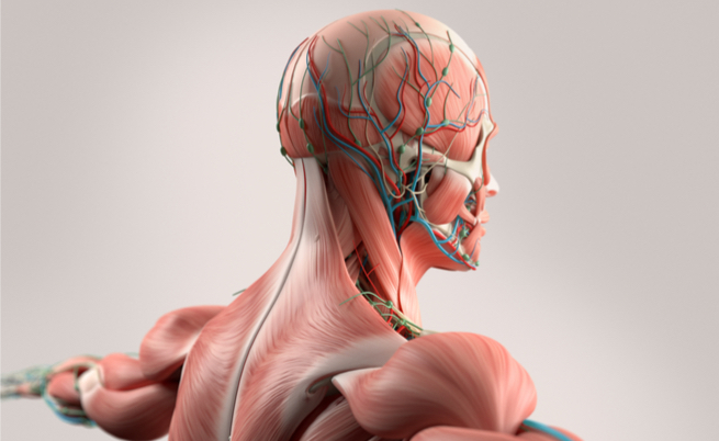 stanchezza mentale: come combatterla