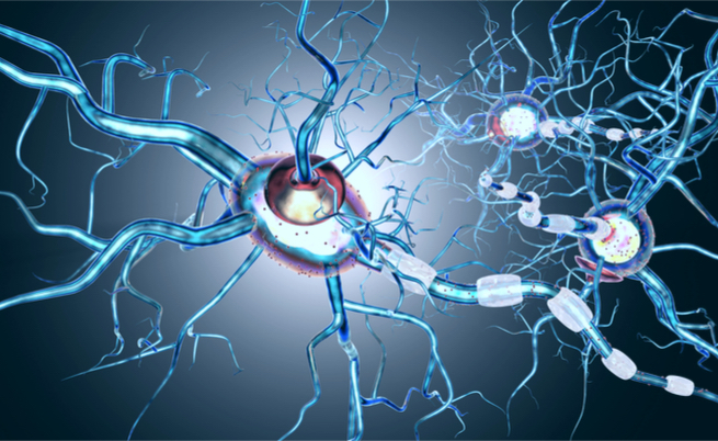 sclerosi multipla, sole e vitamina D