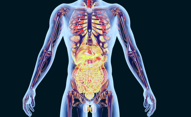 squlibri ormonali: sintomi, cause e cure