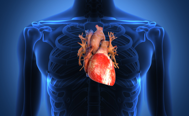 Ceci: i legumi per la salute del cuore