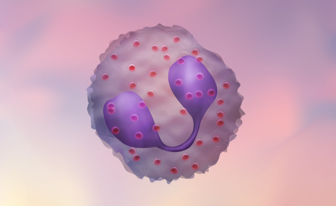 eosinofili alti: cosa significa? Quali le cause?