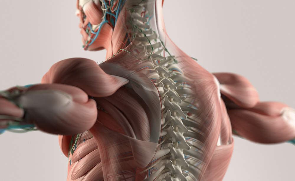 Massaggio Decontratturante: ecco come Eseguirlo