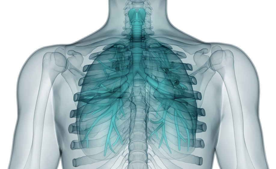 BPCO: i Rimedi per Stare Meglio