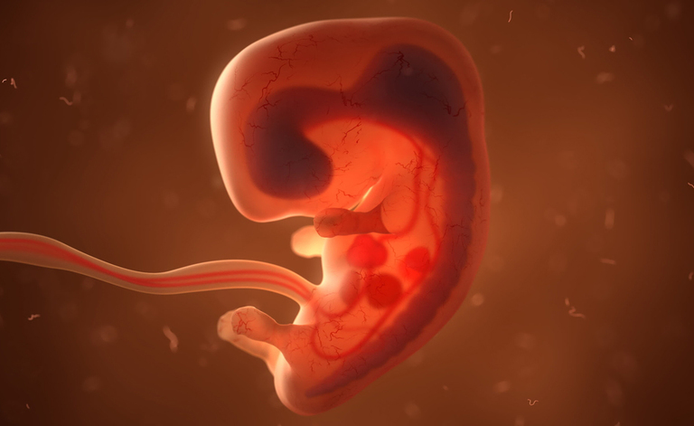 Parto prematuro: Le Linee Guida per Comunicare