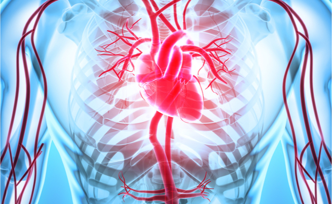 angioTAC: a cosa serve