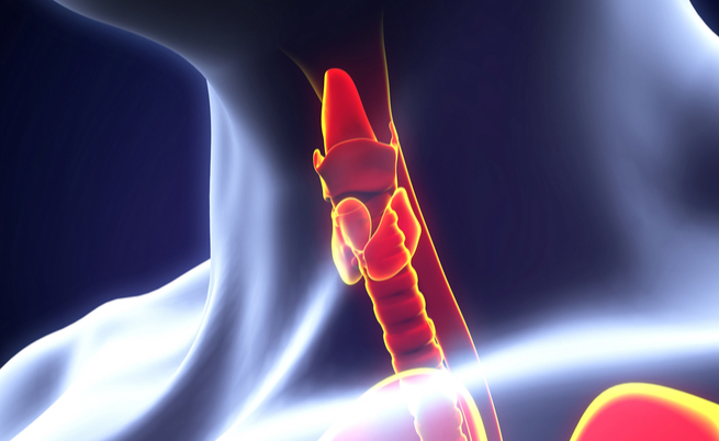 perturbatori endocrini: le sostanze che causano malattie ormonali