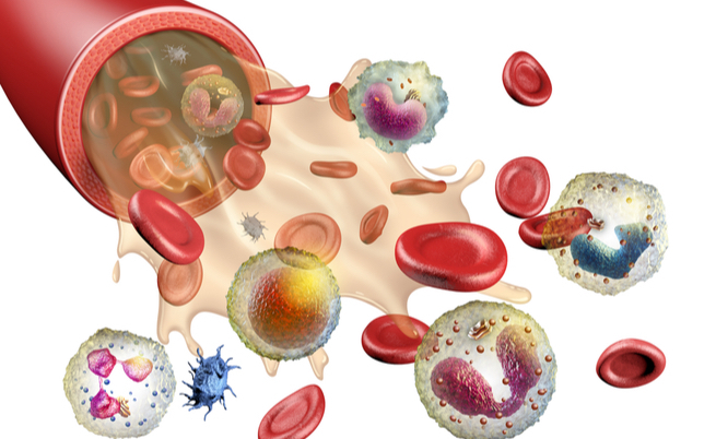 Tutte le cause dei basofili alti