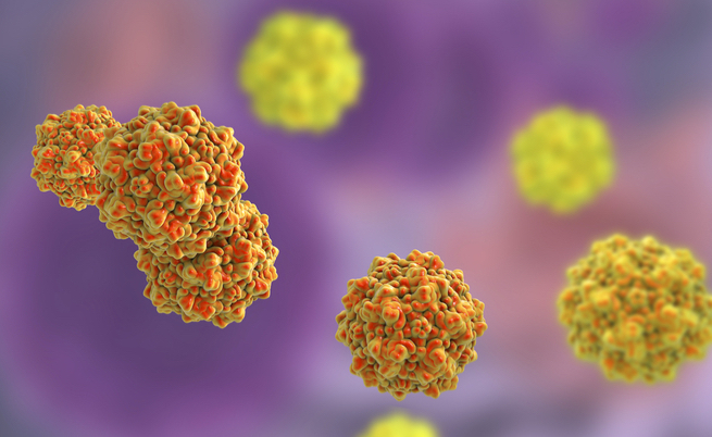 quinta malattia da adulti: sintomi, contagio e cura