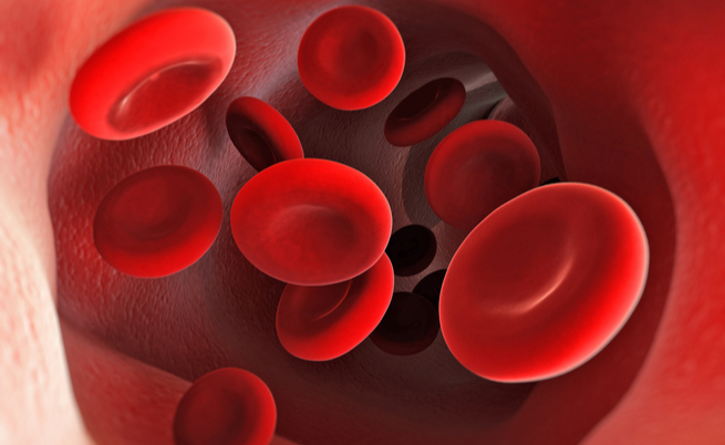 anisocitosi cause: anemia e non solo