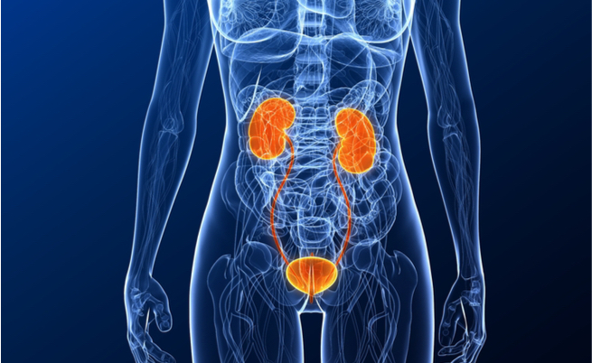 ritenzione urinaria: sintomi, cause e cure