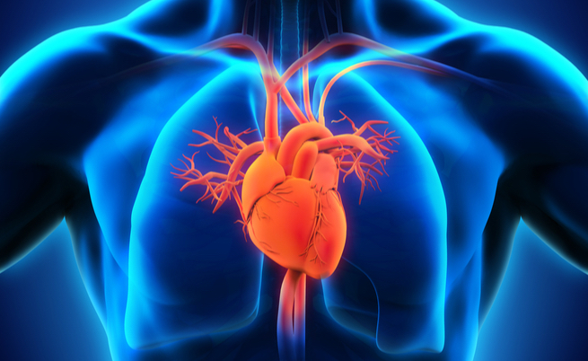 cibi che fanno bene al cuore: qual è la dieta del cuore perfetta?