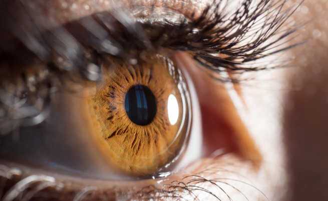 occhi: quali malattie possono svelare?
