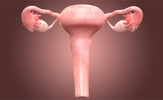 PAP test: quando effettuarlo e come interpretare i risultati