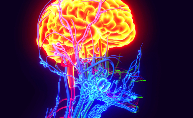 morbo di alzheimer: le cause della perdita di memoria