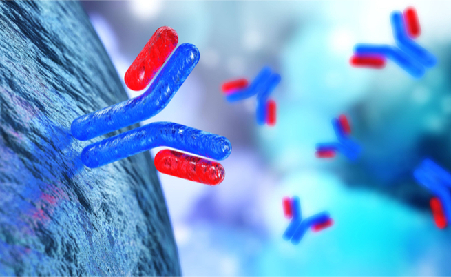 Le cause di Ige alte