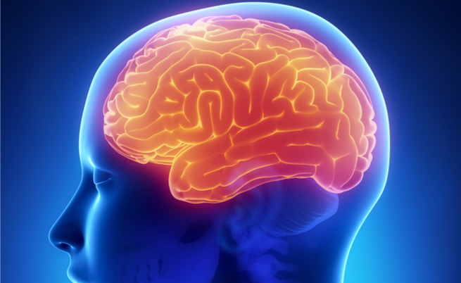 memoria e gravidanza: qual è il legame