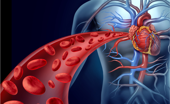 Tutte le cause degli enzimi cardiaci alti: dall'infarto del miocardio allo sforzo intenso