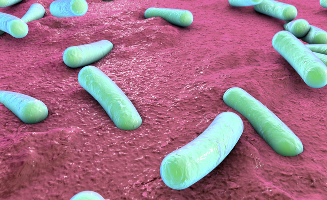 Il legame tra batteri e malattie autoimmuni: eccolo