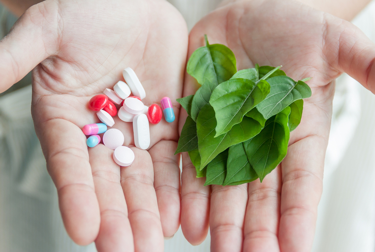 A cosa servono le erbe officinali