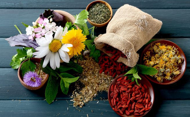 A cosa servono le erbe officinali