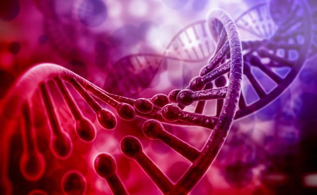 pophuman: enciclopedia genetica digitale