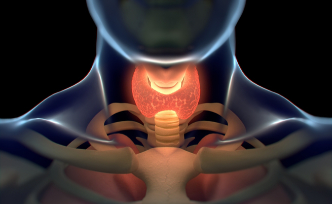 Il legame tra tiroide e vitiligine